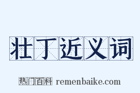 壮丁近义词是什么意思的图片